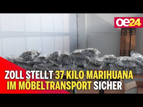 Zoll stellt 37 Kilo Marihuana im Möbeltransport sicher