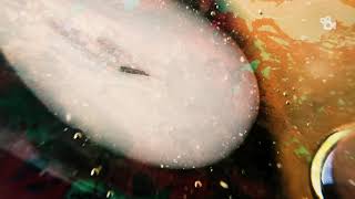 Download lagu St Paul & The Broken Bones Sanctify video by This.media mp3 Download lagu St Paul & The Broken Bones Sanctify video by This.media mp3