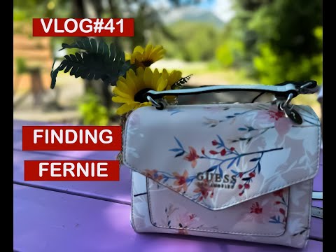 Must Do Things in Fernie British Columbia Canada | HINDI VLOG | VLOG#41 |