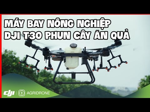 Các Loại Thuốc Trừ Sâu Phổ Biến Hiện Nay Trên Thị Trường