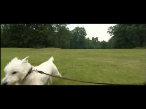 philosophy a guide to happiness 03 seneca on anger