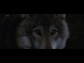 Dances With Wolves - Fire Dance