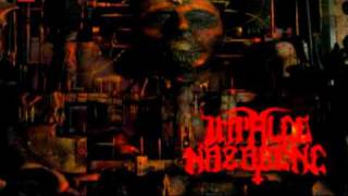 Impaled Nazarene - When All Golden Turned To Shit