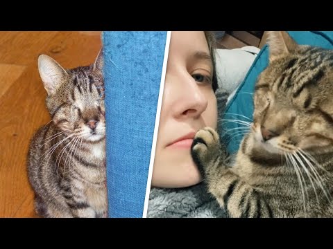 Woman nervously adopted a blind shelter cat. Then there were surprises.