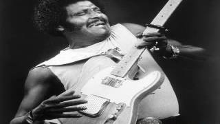 Albert Collins - Live From Austin - The Things That I Used To Do - Dimitris Lesini Greece