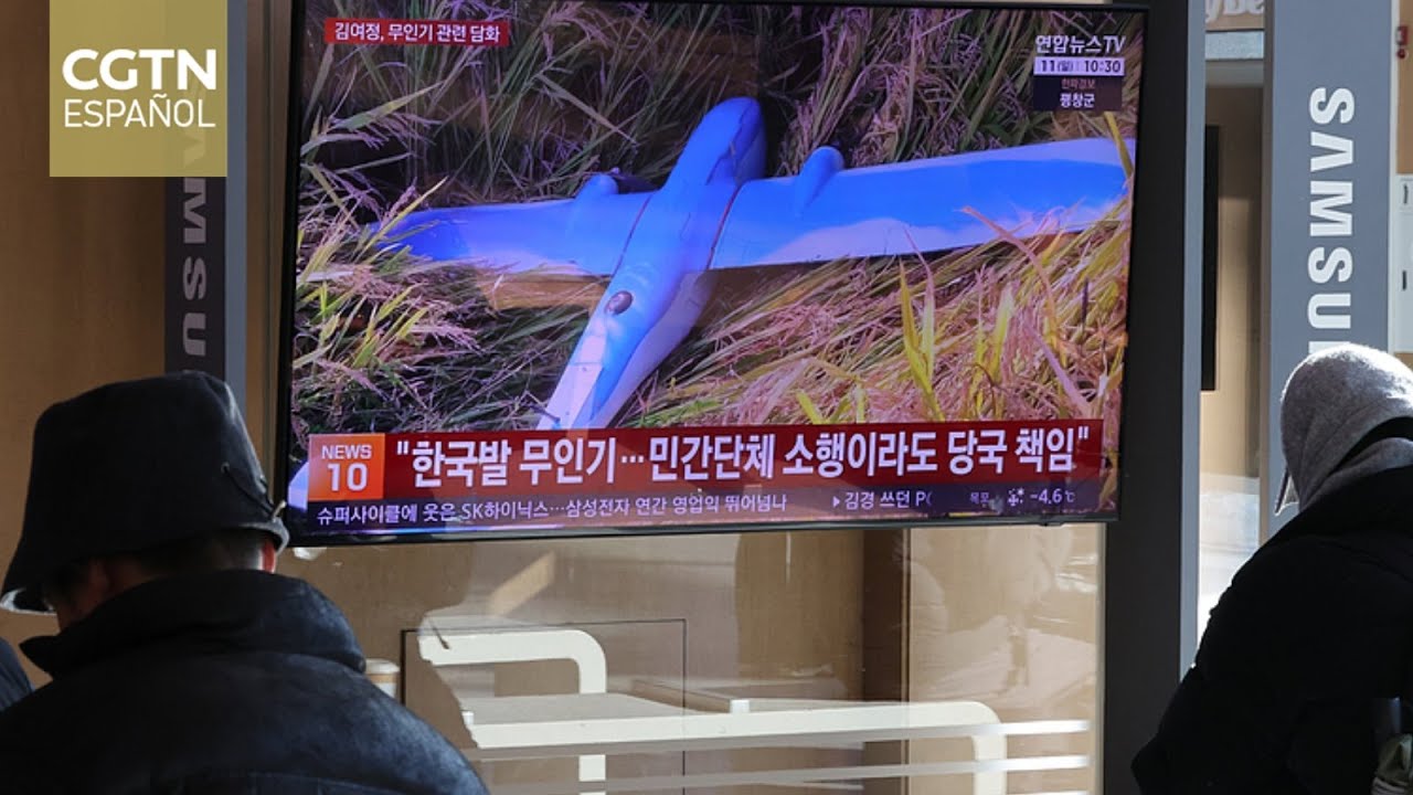 Presidente de la República de Corea: Una incursión de drones civiles en la RPDC sería delito grave