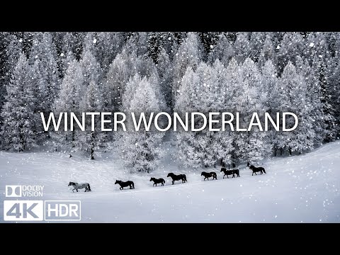 WINTER WONDERLAND 4K ❄️ Heavy Snowfall & Nature Sounds - Peaceful Winter Scenery