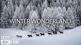 WINTER WONDERLAND 4K ❄️ Heavy Snowfall & Nature Sounds - Peaceful Winter Scenery