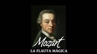 11 Symphony No. 40 in G Minor, K. 550: I. Molto Allegro