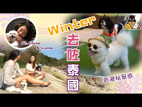 【寵物浦點 Dogcation】 狗狗 Winter仔之 偽 · 泰國之旅 ｜ 南丫島 ｜ 寵物友善酒店 ｜毛孩好去處 ｜ 陳庭欣 Toby