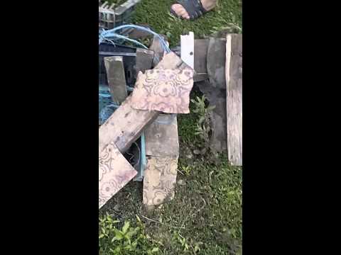 Roncs derbi szeker szètverès