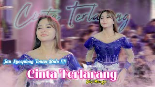 Download lagu CINTA TERLARANG - Silve Marga - MUSIK 99 SKOB - CADAZ AUDIO CLARITY mp3