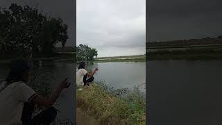 DETIK DETIK IKAN BESAR NGAMUK !!