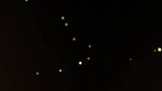 Sejujurnya- Didicazli