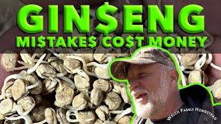 Growing Ginseng - 8 Steps To Avoid Costly Mistakes / VLOG / Planting