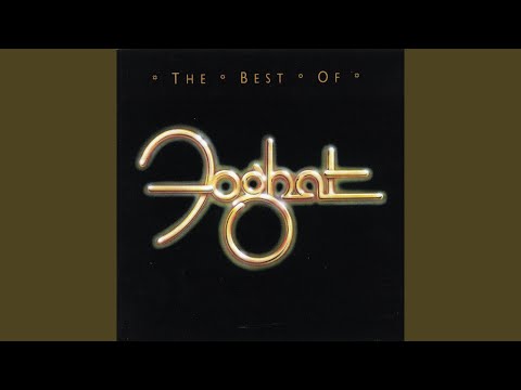 I Just Want to Make Love to You (Single Version)