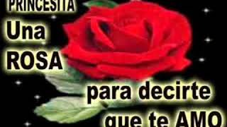 LOS TEMERARIOS YO TE AMO