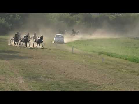 Trka "Žarko Urošev-pokrovitelj Samousluga Vukovljak” 20.09.2020 Atus Love  - Milan Prišić