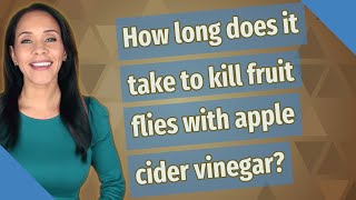 How long does it take to kill fruit flies with apple cider vinegar?
