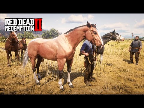 DOMEI um CAVALO MUITO RARO - A fazenda de John Marston - Red Dead Redemption 2