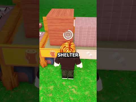 Best Way To Survive in 99 Nights in a Forest