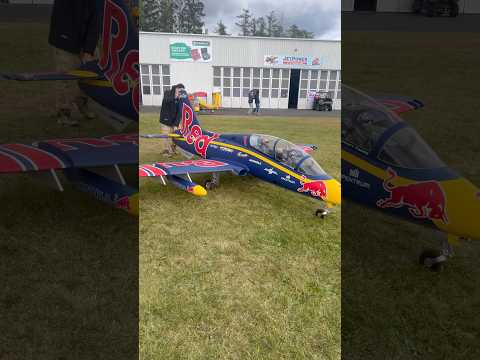 Massive Red Bull MB-339 #jetpower #rcplanes #redbull #jet