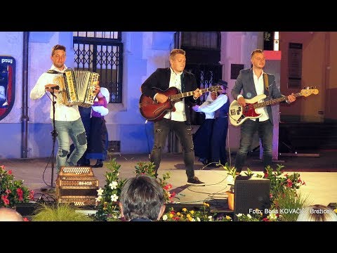 Ansambel Nalet (Ans. Franca Flereta) - Proti vasi (v živo)