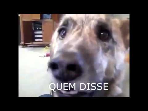 20 de janeiro de 2016