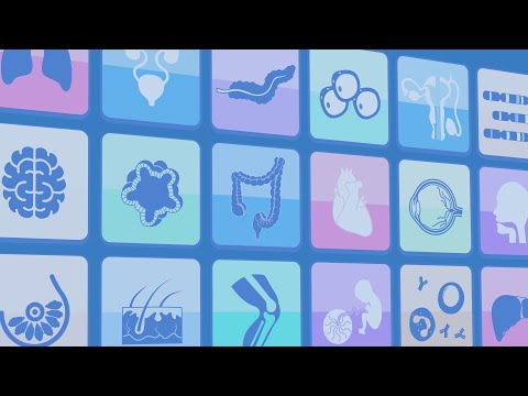 HCA Biological Networks Seminar Series: Eye and Pancreas Networks