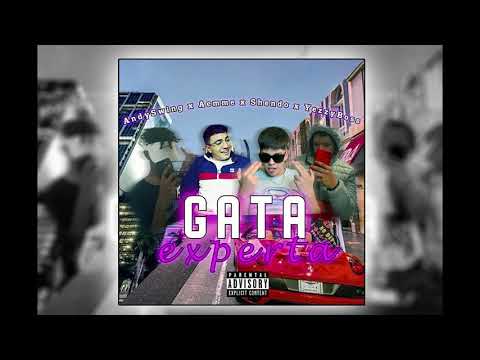 🍒 GATA EXPERTA 🍒 YEEZYBOSS X ANDYSWING X AEMELAMALDITALETRA X SHENDOKBRON  [PROD. GXMINII]