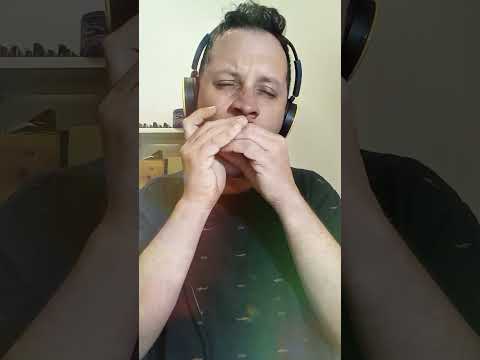 Hohner Thunderbird (Low D) with Overblow Booster!