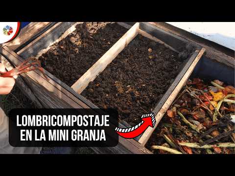 TRANSFORMO mis Residuos Orgánicos con LOMBRICES CALIFORNIANAS en la MINI GRANJA 👨‍🌾