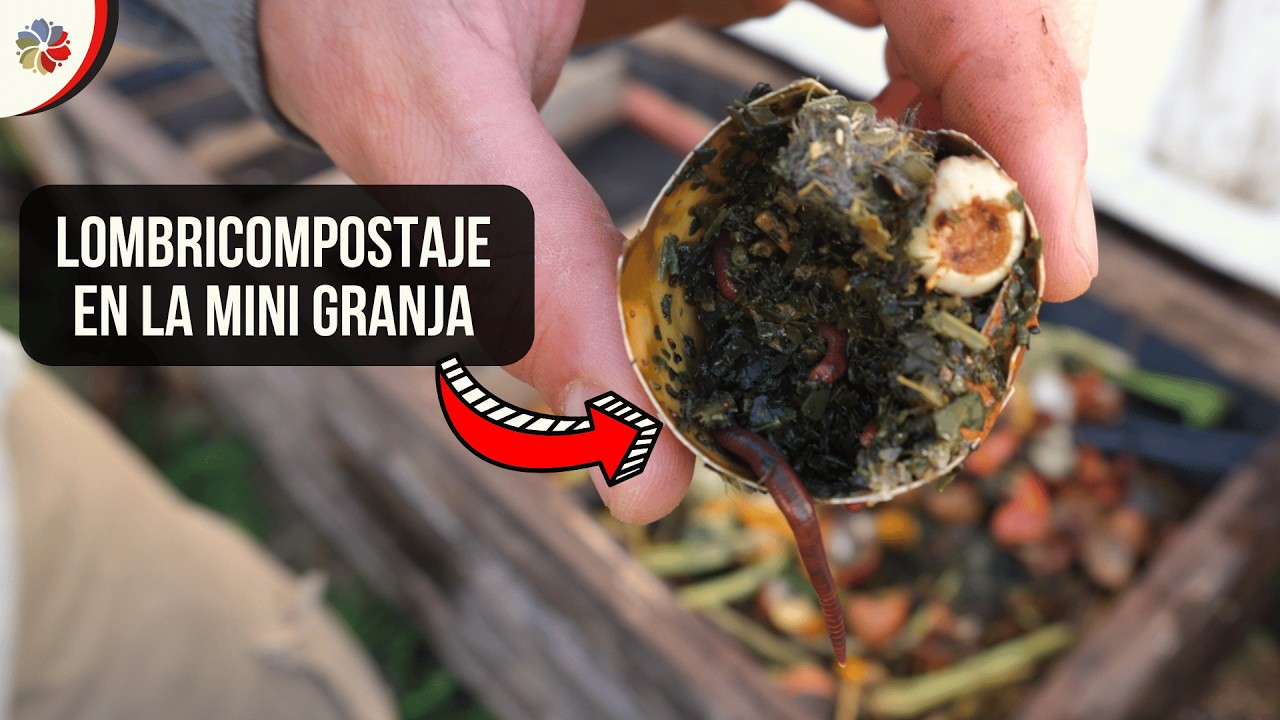 🪱 LOMBRIZ ROJA CALIFORNIANA y el LOMBRICOMPOSTAJE en la MINI GRANJA 👨‍🌾