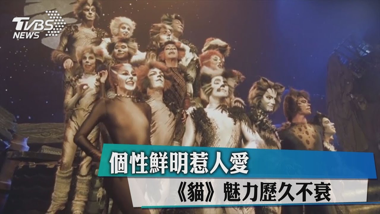 個性鮮明惹人愛 《貓》魅力歷久不衰