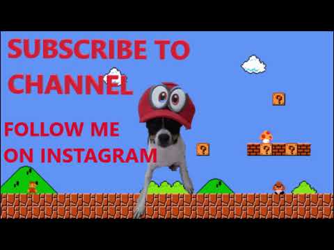 My Dog Plays Super Mario Bros. 😂