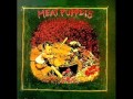 Meat Puppets-The Gold Mine