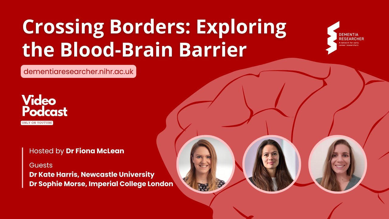 Crossing Borders: Exploring the Blood-Brain Barrier