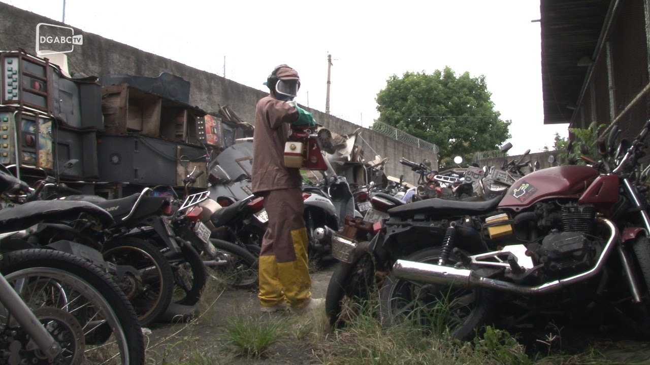 Confira o processo de nebulização em São Caetano; veja vídeo