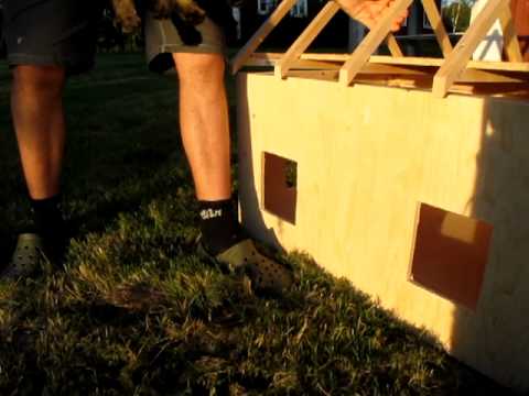 Dino upptäcker katthuset.MOV