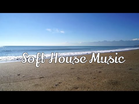 Soft House Dance Mix 2021 | Megamix 2021  | Best Songs
