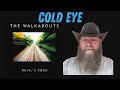 The Walkabouts - Cold Eye (1996) reaction commentary