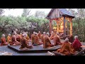 Pali Chanting In The Abhayagiri Buddhist Monastery Theravada Buddhism