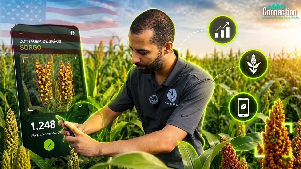Safra Soja e Milho EUA 2026 - 20 de Julho - Brasileiro Está Revolucionando a Cultura do Sorgo!