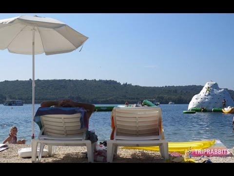 Beach Lion (Banjole)