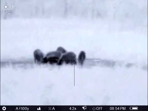 video-Termovízia Pulsar Trail XQ38