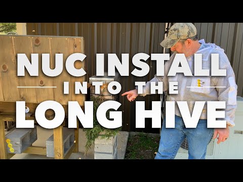 Installing a Nuc into the Long Hive [Nuc Install 101 by a professional Beekeeper] | Let's try again!
