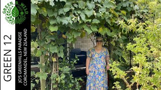 From Grass to Abundance: GreenHills Paradise’s Incredible Backyard Food Forest!