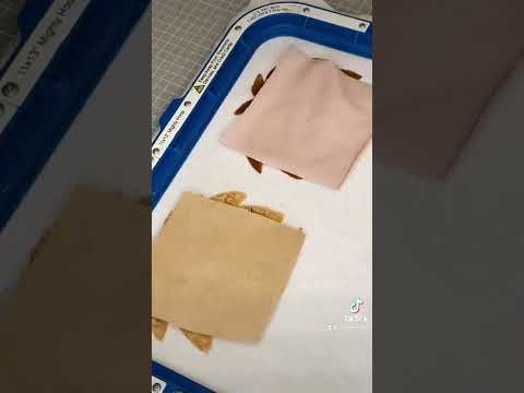Löwe Applikation in der Stickmaschine
