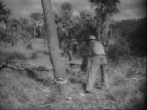 001 Recorte de hacheando el quebracho .WMV