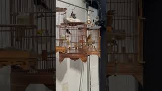 Góc Sân Vườn Nhà Fuvico